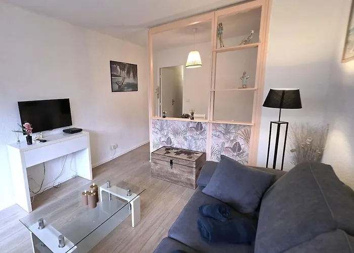 4 Pers Piscine A Pied 度假居 *